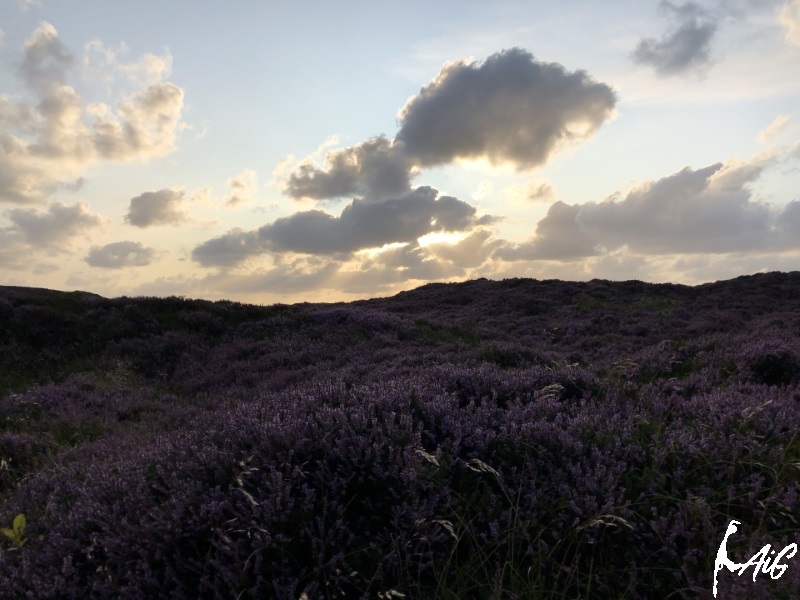 Sylt_Insel_030.jpg